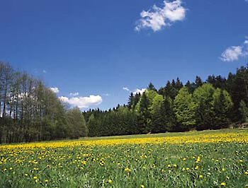 Wellnesshotels Bayern – Eine Erfolgsgeschichte